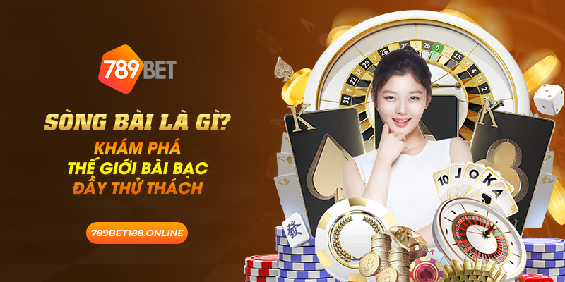 14 song bai la gi kham pha the gioi bai bac day thu thach