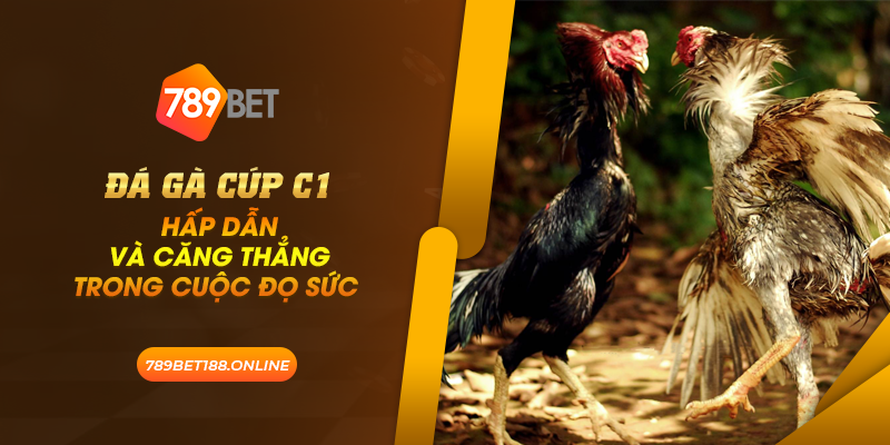 Đá Gà Cúp C1: Hấp dẫn và căng thẳng trong cuộc đọ sức 1 38 da ga cup c1 hap dan va cang thang trong cuoc do suc