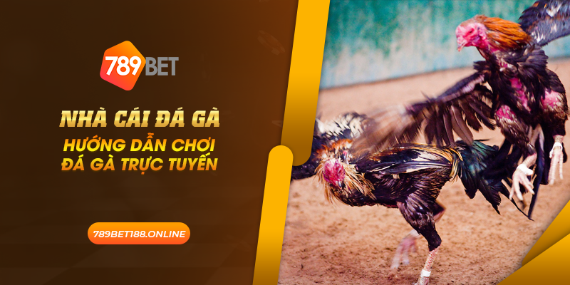 39 nha cai da ga huong dan choi da ga truc tuyen