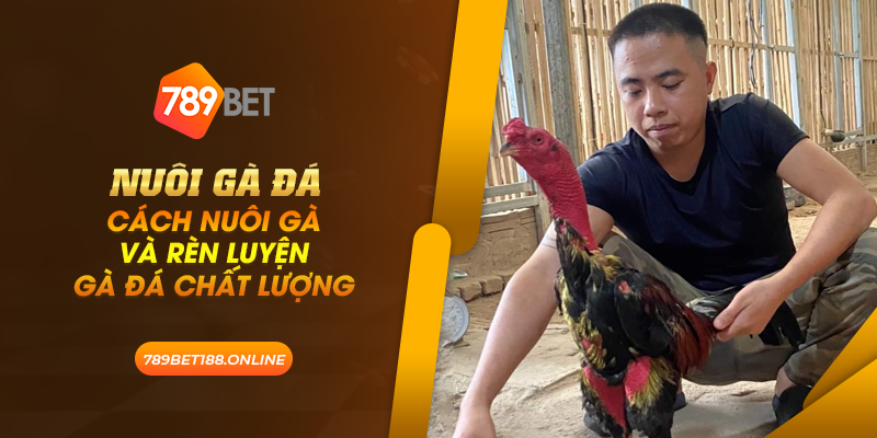 40 nuoi ga da cach nuoi ga va ren luyen ga da chat luong