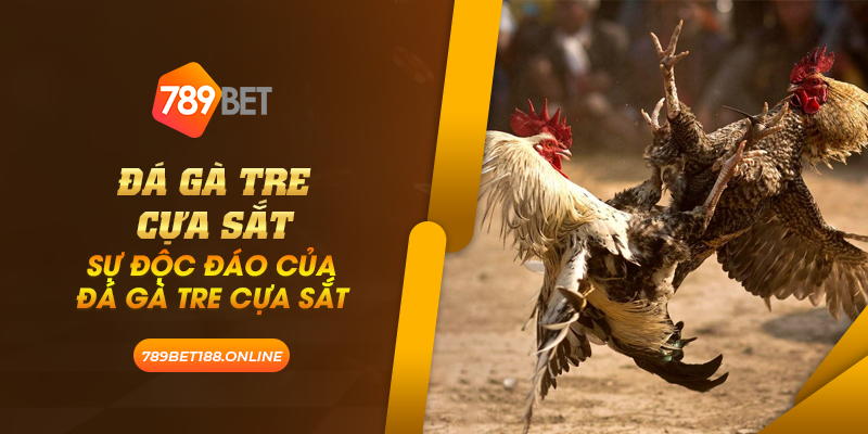 42 da ga tre cua sat su doc dao cua da ga tre cua sat