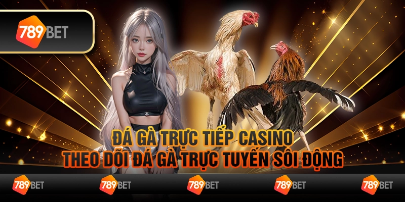 Đá gà trực tiếp casino – Theo dõi đá gà trực tuyến sôi động