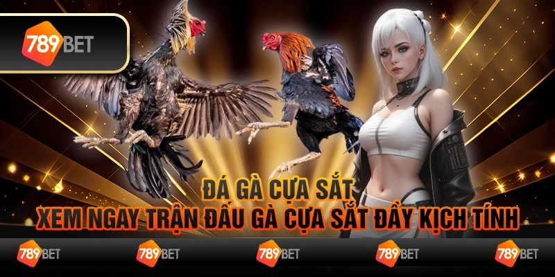 Đá gà cựa sắt – Xem ngay trận đấu gà cựa sắt đầy kịch tính