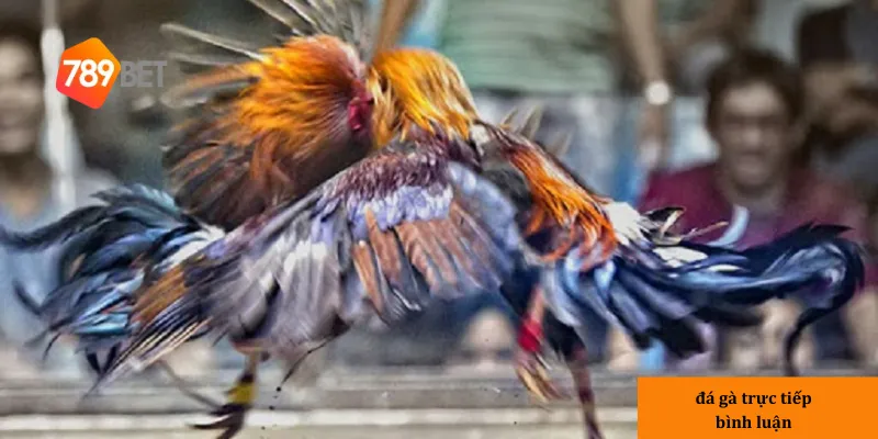 3 yếu tố tạo nên sức hút của bộ môn này