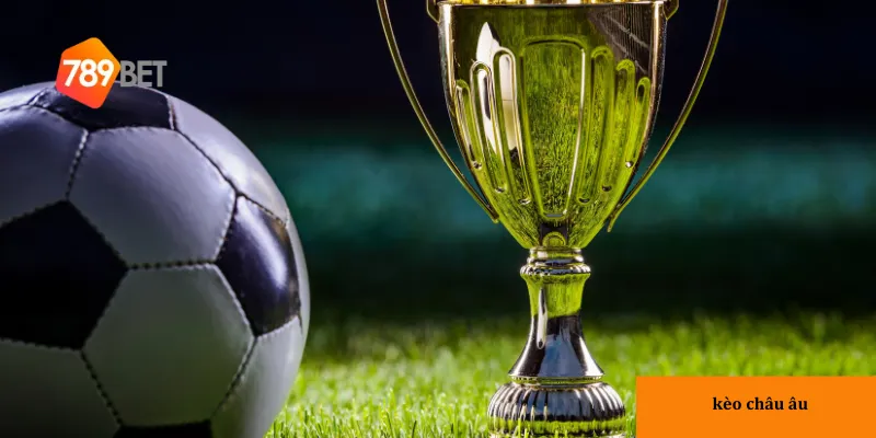 cách tính toán lợi nhuận tại nhà cái