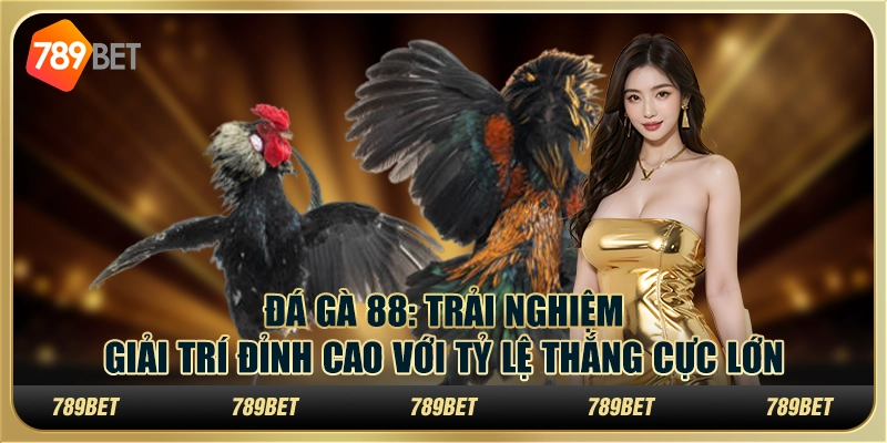 Đá gà 88: Trải nghiệm giải trí đỉnh cao với tỷ lệ thắng cực lớn