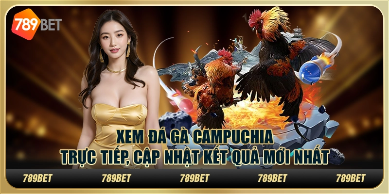 Xem đá gà Campuchia trực tiếp, cập nhật kết quả mới nhất