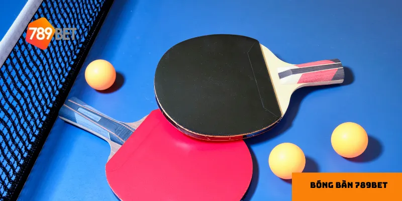 Giới thiệu Cá cược Bóng Bàn 789bet