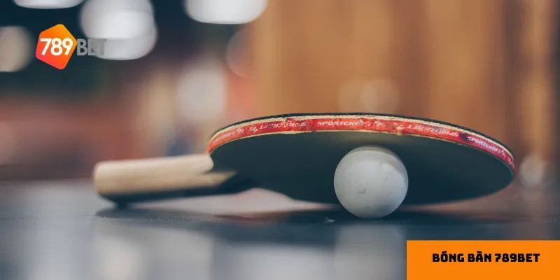 Mẹo chơi cá cược bóng bàn cho người mới