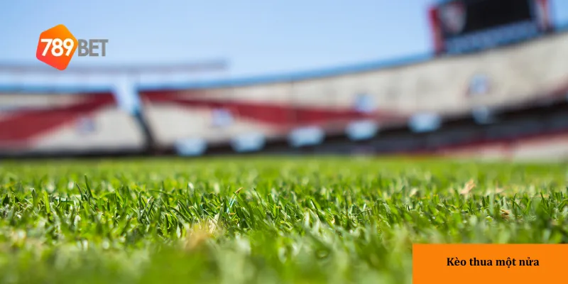 Cách tính tiền cược khi thắng hoặc thua một nửa