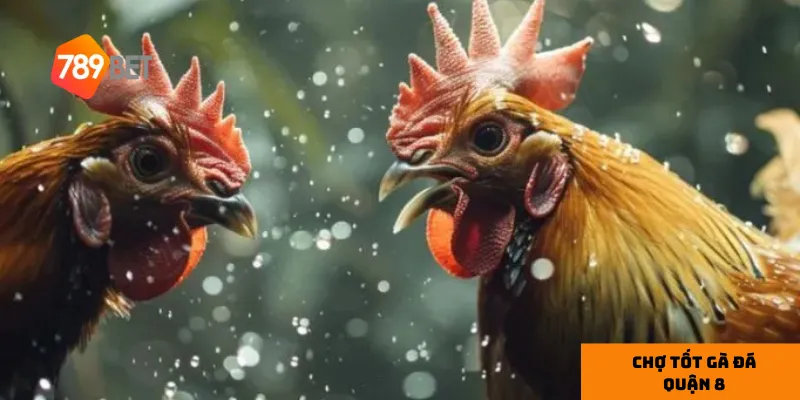 Giá cả hợp lý và linh hoạt