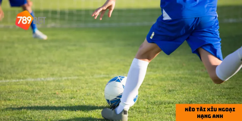 Hiểu rõ cách đọc tỷ lệ và các yếu tố ảnh hưởng