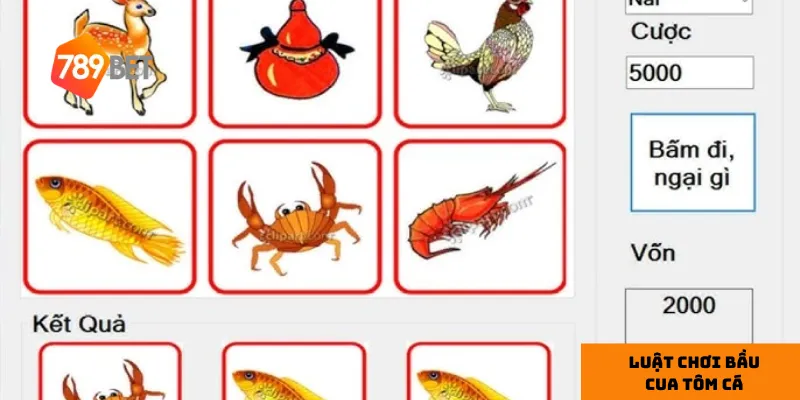 Quan sát xu hướng cược.