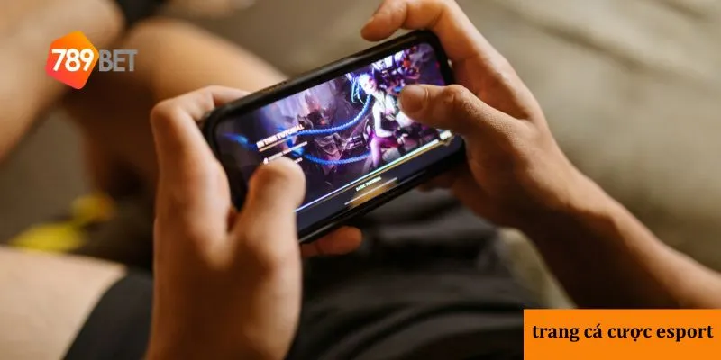 3 trang cá cược eSports uy tín nhất