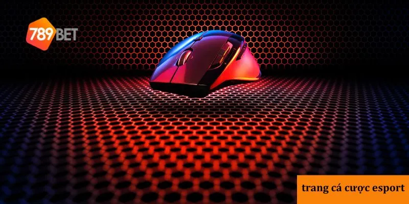 Hướng dẫn tham gia cá cược eSports hiệu quả