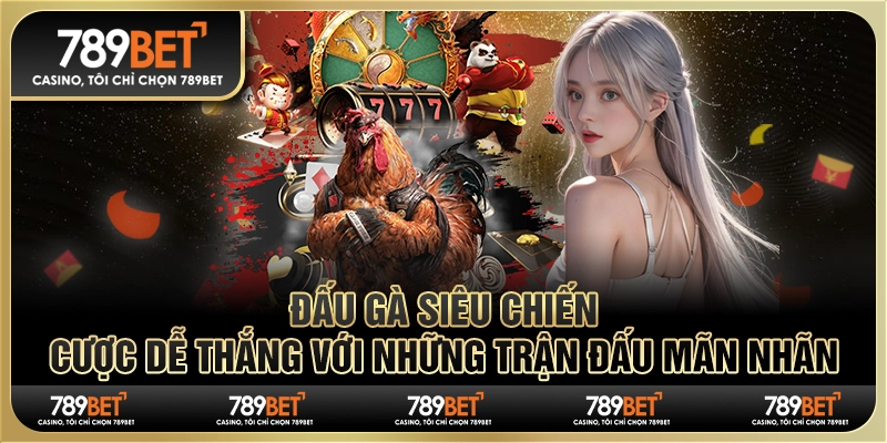 Đấu gà siêu chiến: Cược dễ thắng với các trận đấu mãn nhãn