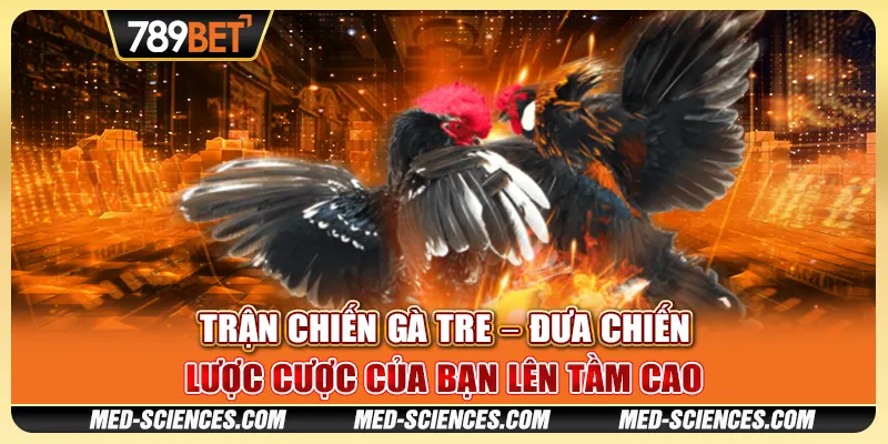 Trận Chiến Gà Tre – Đưa Chiến Lược Cược Của Bạn Lên Tầm Cao