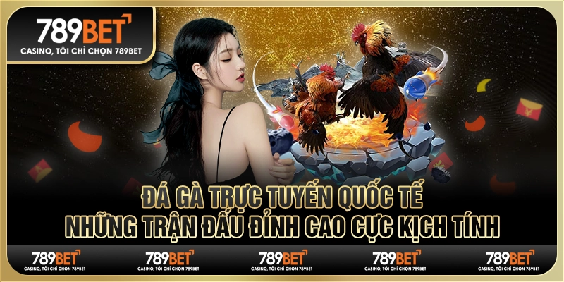 Đá gà trực tuyến quốc tế: Những trận đấu đỉnh cao cực kịch tính
