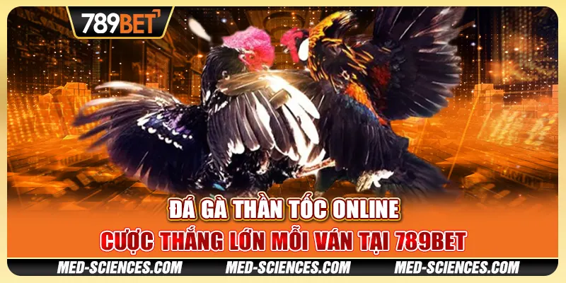 Đá Gà Thần Tốc Online – Cược Thắng Lớn Mỗi Ván Tại 789BET