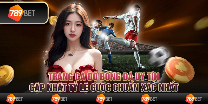 Trang cá độ bóng đá uy tín, cập nhật tỷ lệ cược chuẩn xác nhất