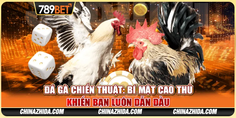 Đá Gà Chiến Thuật: Bí Mật Cao Thủ Khiến Bạn Luôn Dẫn Đầu