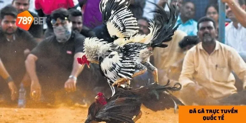 Công nghệ hiện đại đảm bảo tính công bằng tuyệt đối.