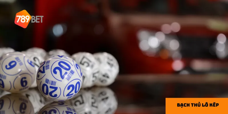 Hiểu rõ các loại bạch thủ lô kép giúp bạn lựa chọn chiến thuật phù hợp.