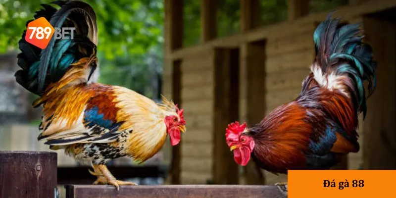 Đa dạng trận đấu giúp người chơi trải nghiệm cảm giác mới mẻ mỗi ngày.