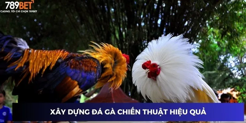 Xây dựng chiến thuật hiệu quả