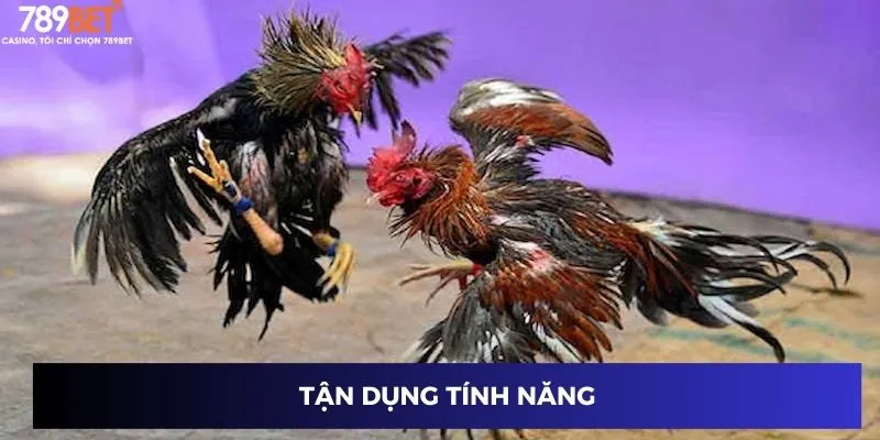 Tận dụng tính năng