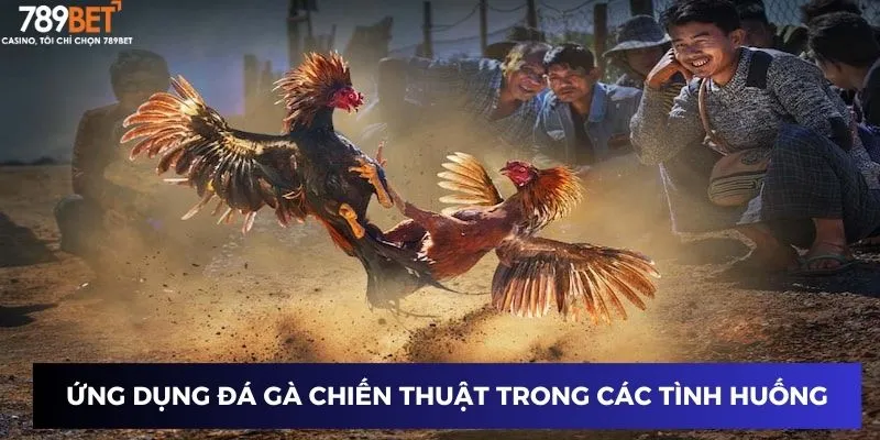 Ứng dụng đá gà chiến thuật trong các tình huống cụ thể