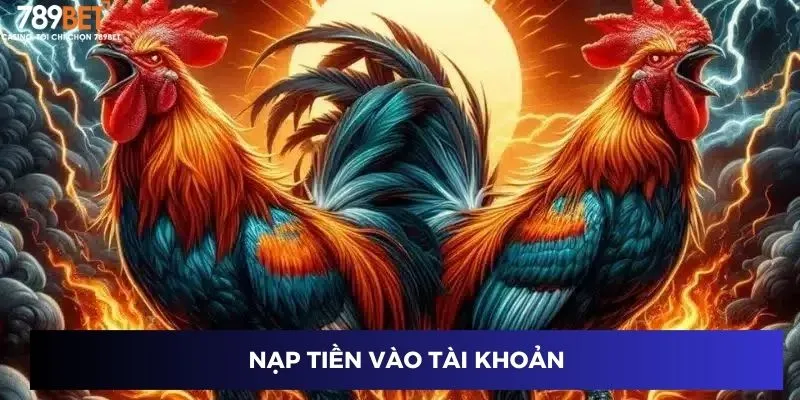 Nạp tiền vào tài khoản