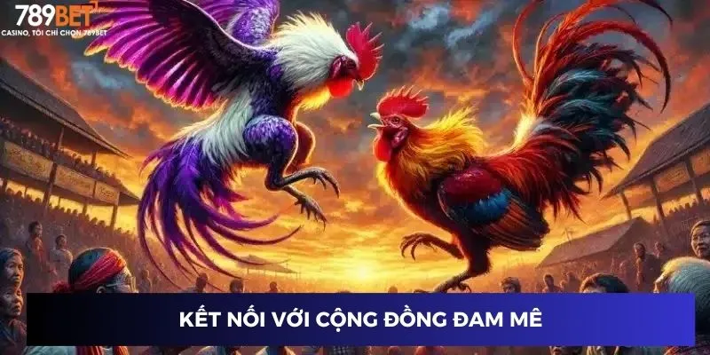 Kết nối với cộng đồng đam mê