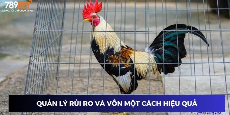 Quản lý vốn hiệu quả