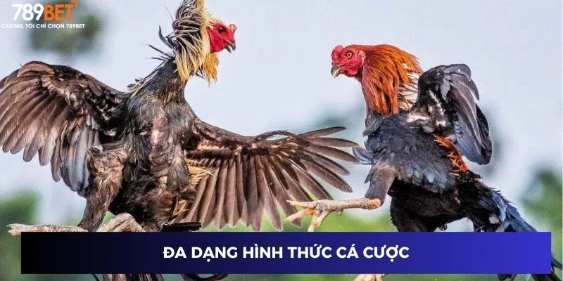 Đa dạng hình thức cá cược
