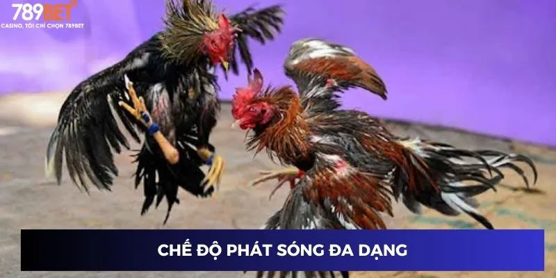 Chế độ phát sóng đa dạng