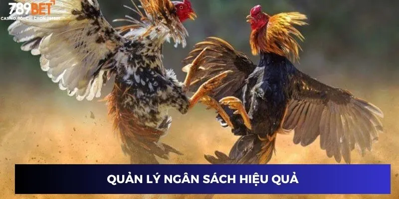 Quản lý ngân sách hiệu quả