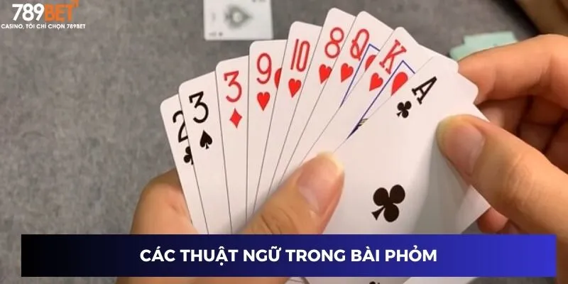 Các thuật ngữ trong bài phỏm