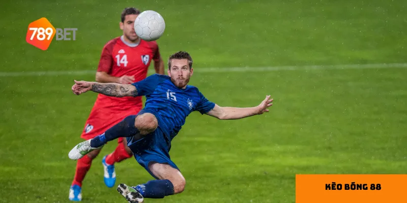 Phân tích dữ liệu là công cụ hỗ trợ đưa ra quyết định đặt cược tốt hơn.