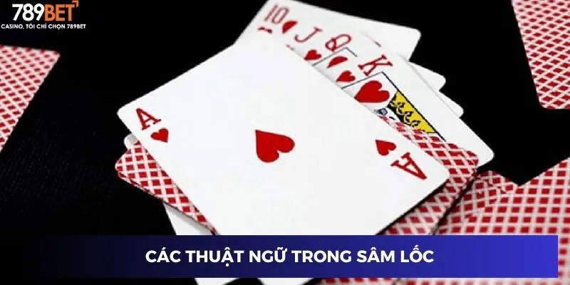 Các thuật ngữ trong sâm lốc