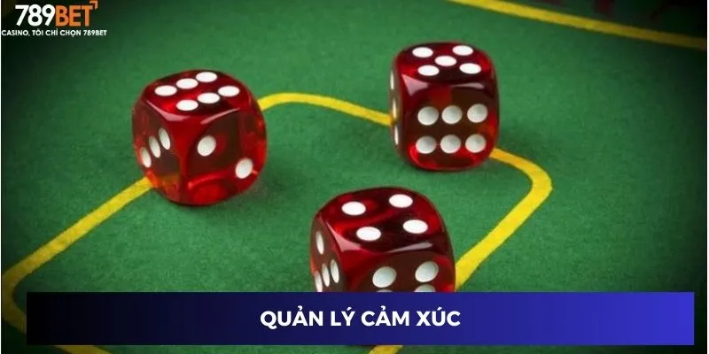 Quản lý cảm xúc