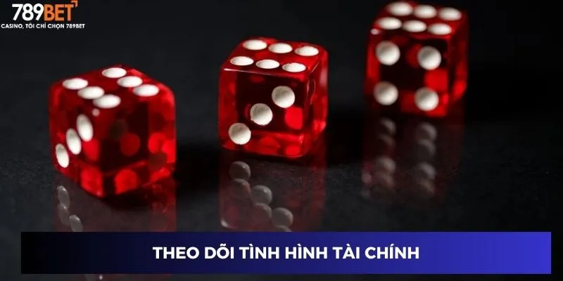 Theo dõi tình hình tài chính