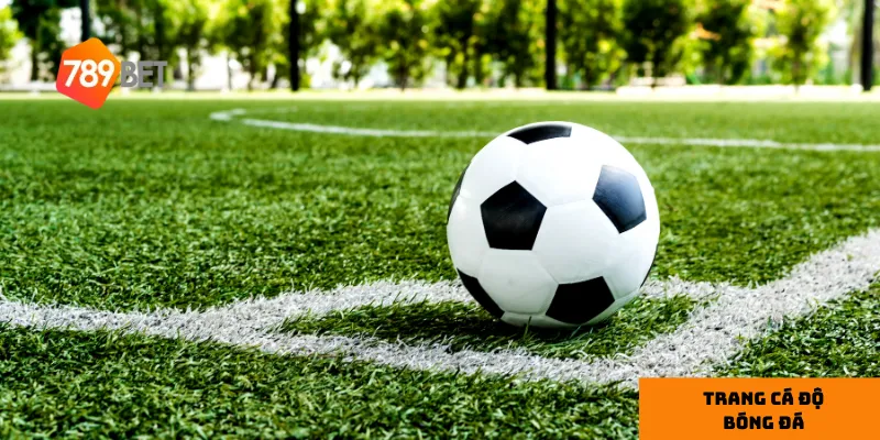 Giao diện trực quan giúp bạn tận hưởng trải nghiệm trọn vẹn tại 789bet.