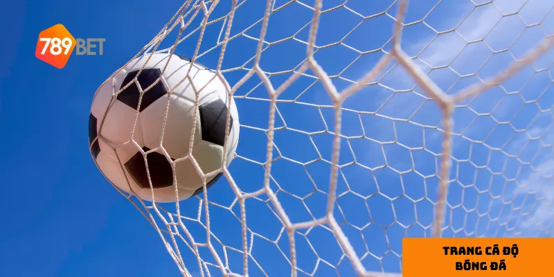 Sự minh bạch trong mọi giao dịch là yếu tố giúp 789bet chiếm trọn niềm tin từ người chơi.