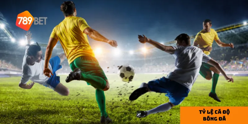 Tỷ lệ cá độ phản ánh mức độ rủi ro và phần thưởng trong mỗi trận đấu.