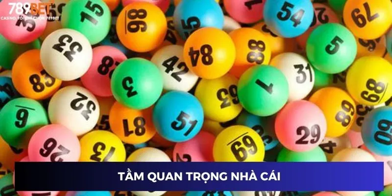 Tầm quan trọng nhà cái