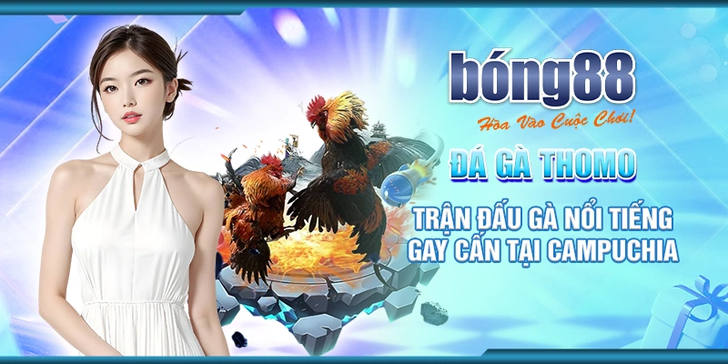 9 da ga thomo tran dau ga noi tieng gay can tai campuchia