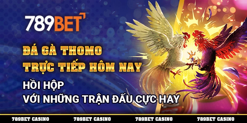 Đá Gà Thomo Trực Tiếp Hôm Nay - Hồi Hộp Với Trận Đấu Cực Hay