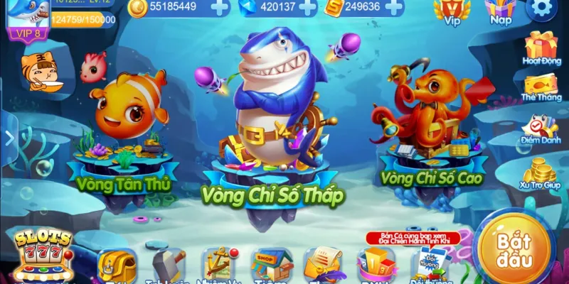 Quy tắc và cách chơi dành cho người tham gia