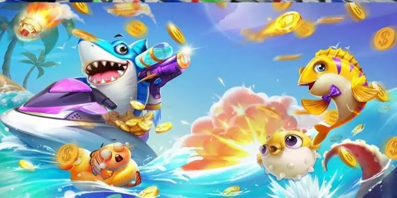 Đa dạng về sảnh đấu